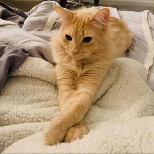 Meet your Posher, Kara